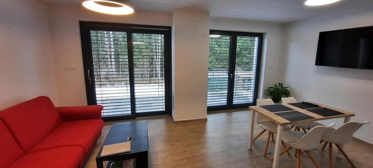 Apartmany Aktiv Lipno リプノ・ナト・ヴルタヴォウ エクステリア 写真