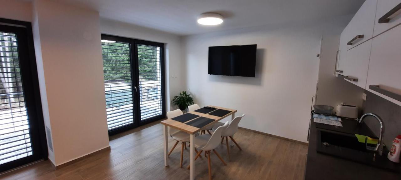 Apartmany Aktiv Lipno リプノ・ナト・ヴルタヴォウ エクステリア 写真