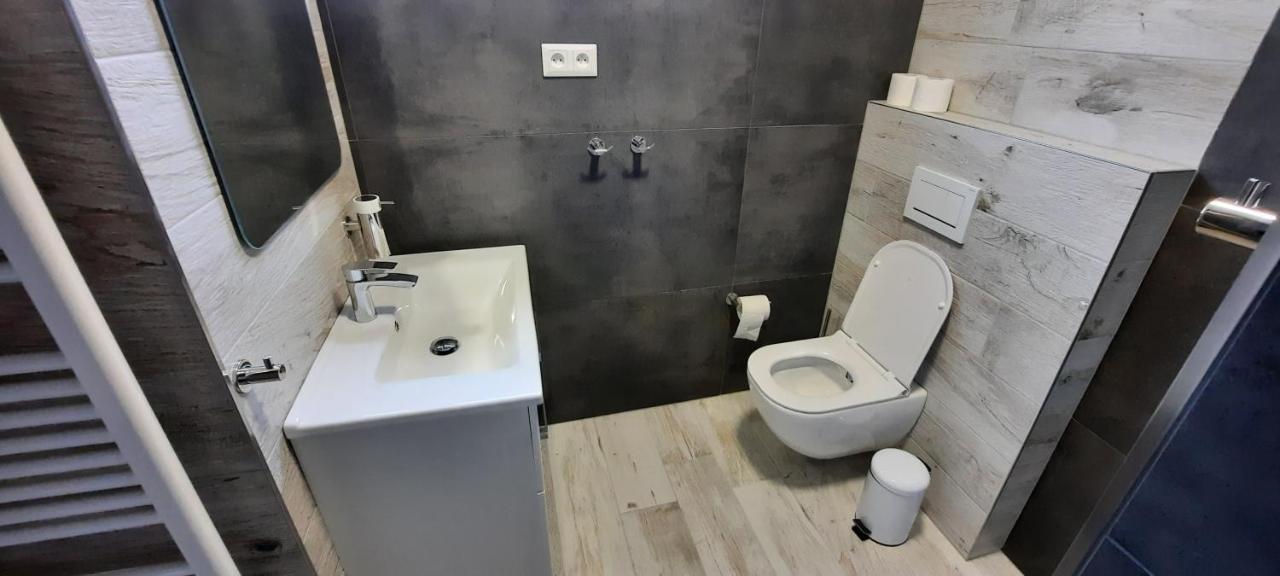 Apartmany Aktiv Lipno リプノ・ナト・ヴルタヴォウ エクステリア 写真