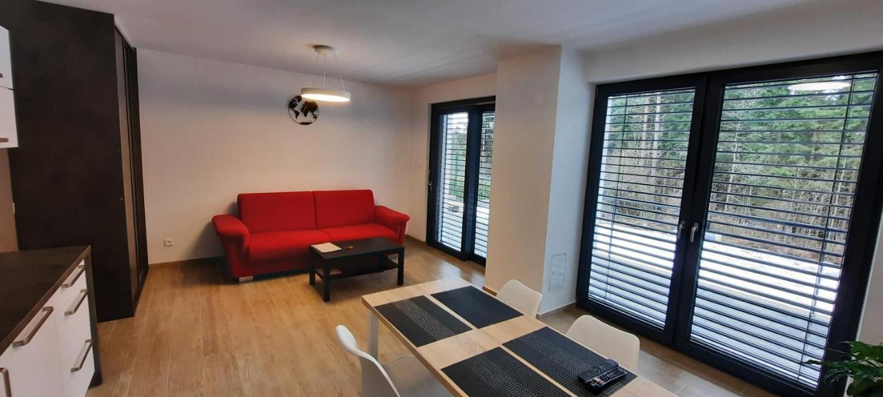 Apartmany Aktiv Lipno リプノ・ナト・ヴルタヴォウ エクステリア 写真